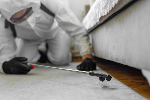 Professional Cockroach Control technician working in Poydras, LA