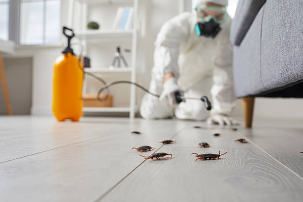 Affordable Cockroach Control solutions in Poydras, LA